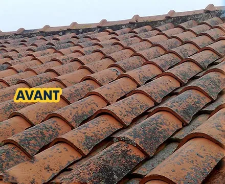 Toiture avant entretien — Patrick Couverture